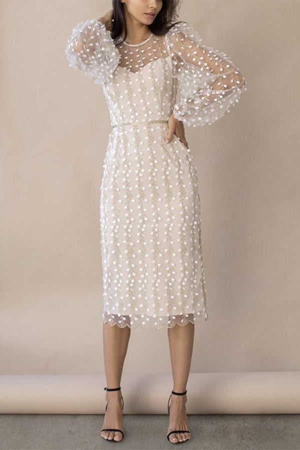 Embroidery Print Floral Mesh Women’s Elegant Party Dress