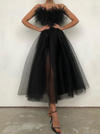 Feather Detail Off Shoulder Sheer Mesh Dress
