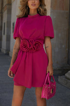 Sweet Surprise Puff Sleeve Rose Ruffles Detail Waist Backless Mini Dress